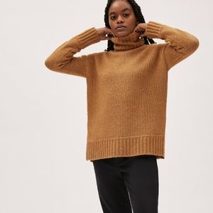 Everlane The Cloud Turtleneck